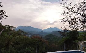 Finca Quinta Los Cedros